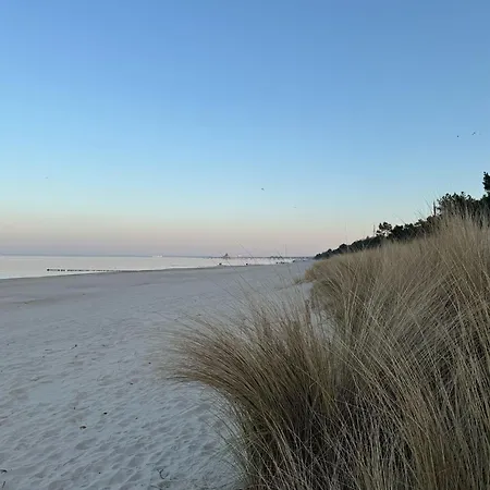 Apartamento Ostseeresidenz Gorki Park Gp 07a Mit Wellness Und Schwimmbad